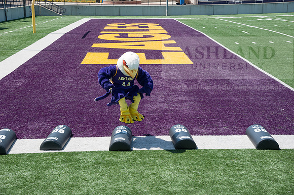 Tuffy Preparing for Marathon