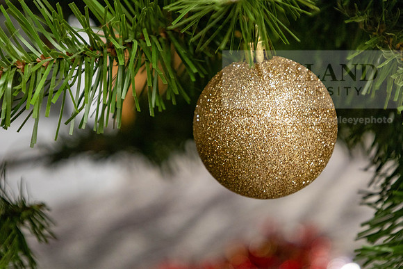 HolidayDecor120923MC_6338