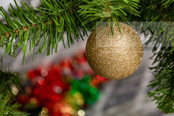 HolidayDecor120923MC_6339