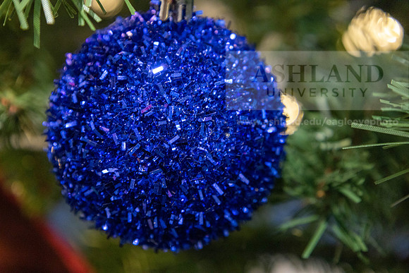 HolidayDecor120923MC_6215