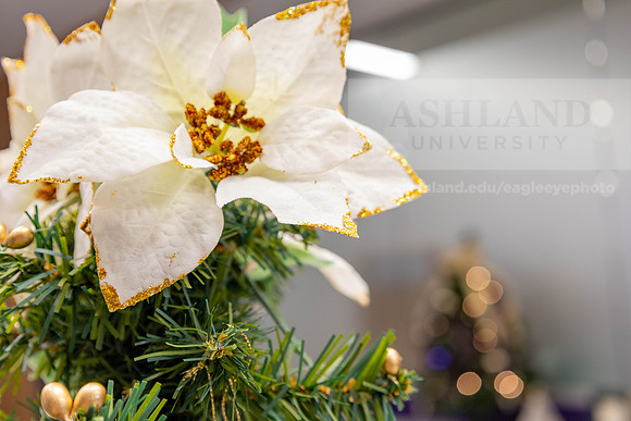 HolidayDecor120923MC_6375