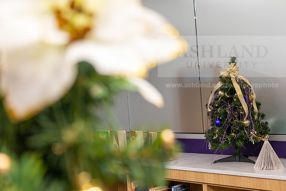 HolidayDecor120923MC_6377