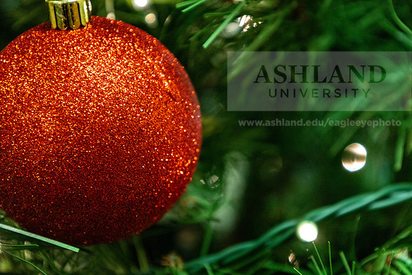 HolidayDecor120923MC_6411