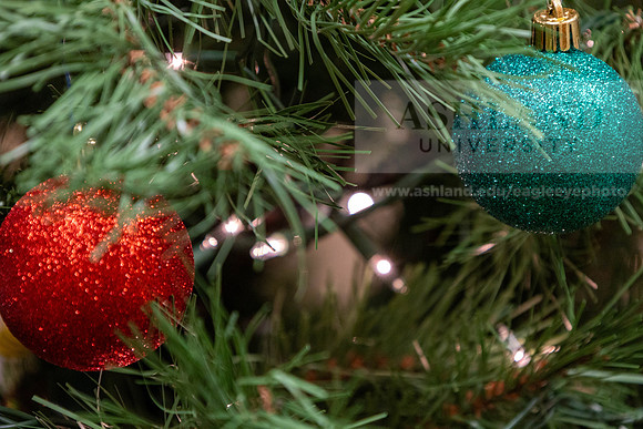 HolidayDecor120923MC_6429