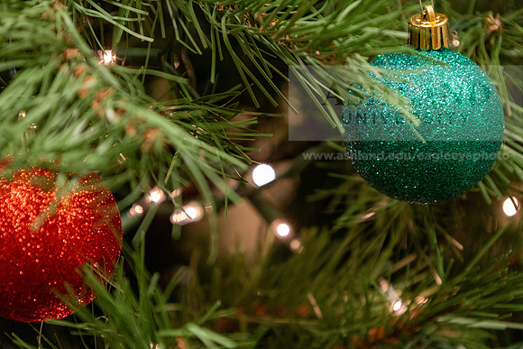HolidayDecor120923MC_6428
