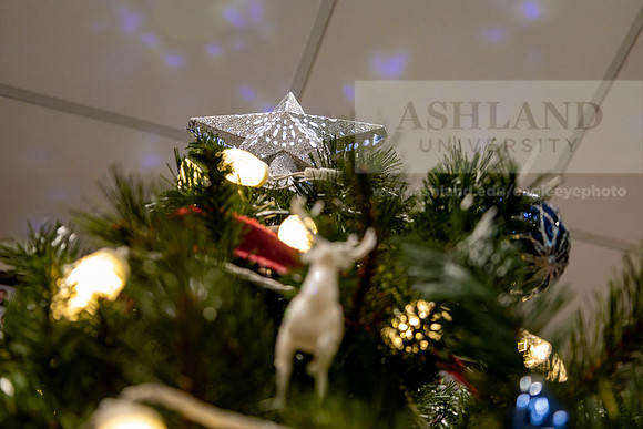 HolidayDecor120923MC_6204