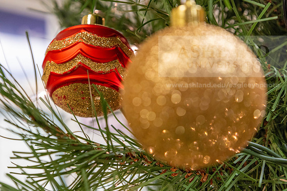 HolidayDecor120923MC_6416