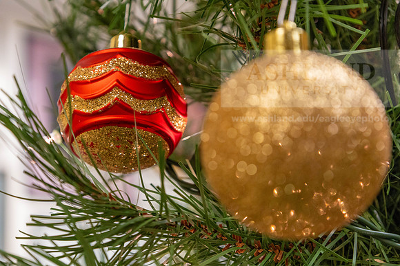 HolidayDecor120923MC_6417
