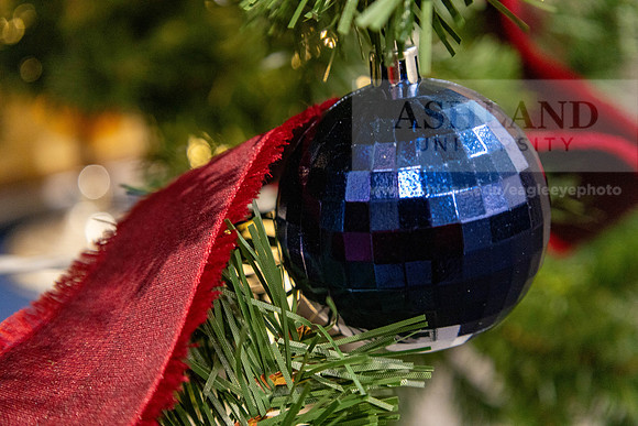 HolidayDecor120923MC_6208