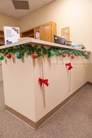 HolidayDecor120923MC_6396