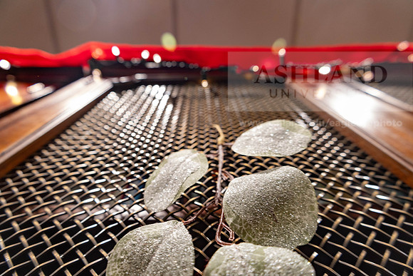 HolidayDecor120923MC_6235