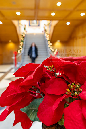 HolidayDecor120923MC_6168