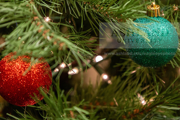 HolidayDecor120923MC_6430