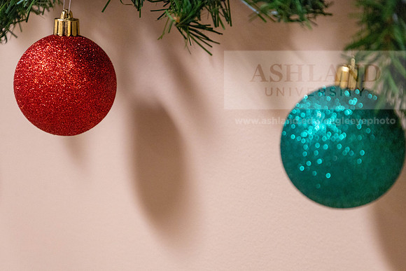 HolidayDecor120923MC_6408