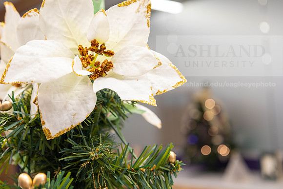 HolidayDecor120923MC_6378