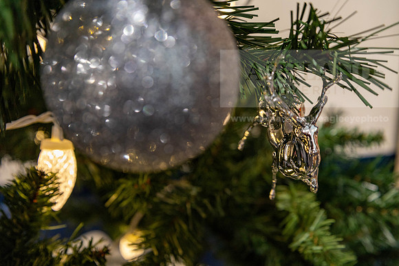 HolidayDecor120923MC_6230