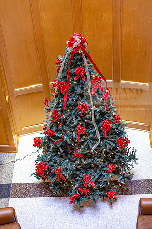 HolidayDecor120923MC_6269