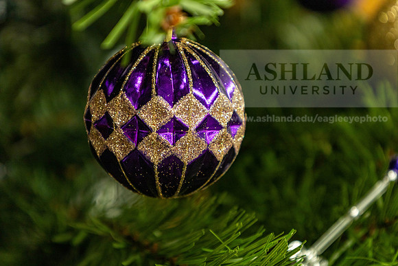 HolidayDecor120923MC_6318