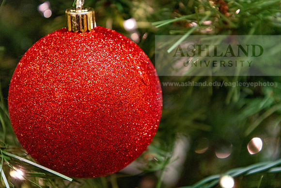 HolidayDecor120923MC_6413