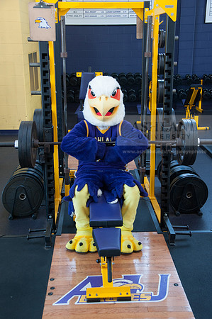 Tuffy Preparing for Marathon