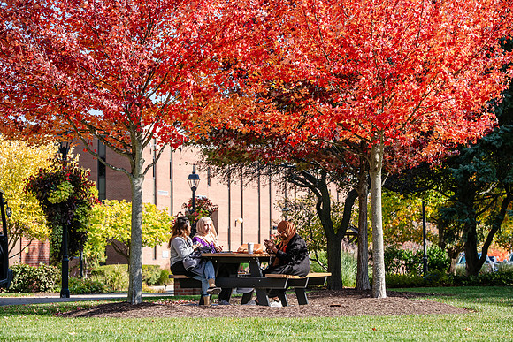 FallCampusLife1024AWB_5818