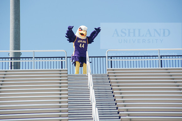 Tuffy Preparing for Marathon