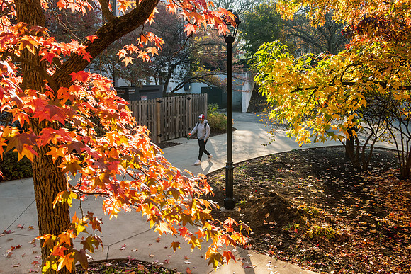 FallCampus1121ALW_3168