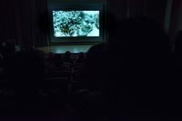 Ashland Center for Nonviolence - Our Fires Still Burn - Film Scr