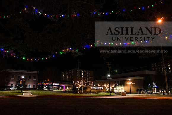 ChristmasDecorations1224AWB_5225