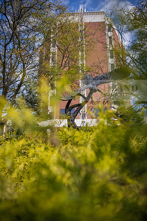 FallCampusLife1023AWB_2744