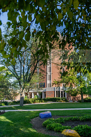 FallSemCampusEnvironment0923AWB_2887
