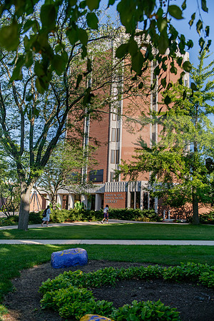 FallSemCampusEnvironment0923AWB_2919