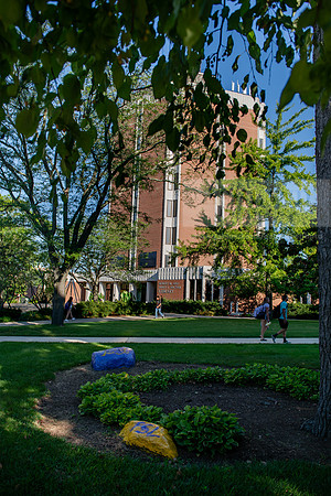 FallSemCampusEnvironment0923AWB_2953