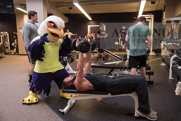 Tuffy - Campus Wellness Program