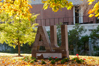 AUFallLeavesALW_3745