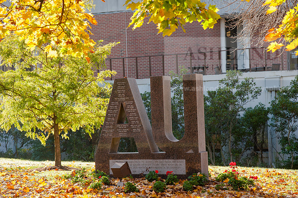 AUFallLeavesALW_3745