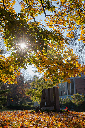 FallLeavesALW_3738