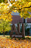 AUFallLeavesALW_3743