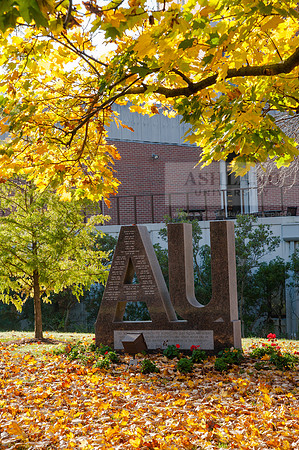 AUFallLeavesALW_3743