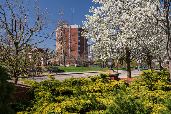 SpringCampus0421ALW_5685