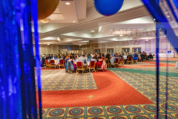 SapphireBall012724MC_7636