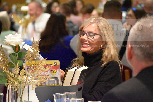 SapphireBall0124SG-23