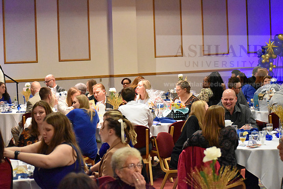 SapphireBall0124SG-09