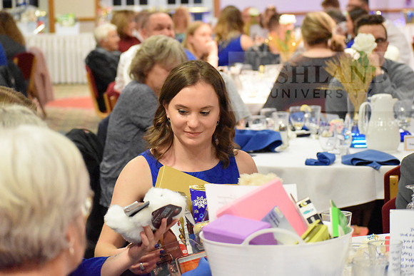 SapphireBall0124SG-18