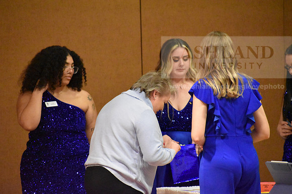 SapphireBall0124SG-26