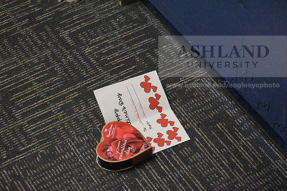RoseSale0224SG-01