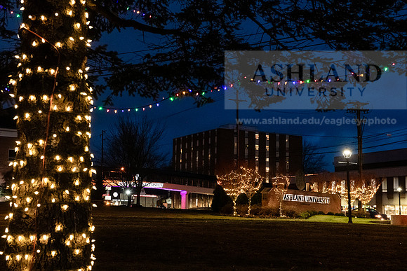 ChristmasDecorations1224AWB_5439