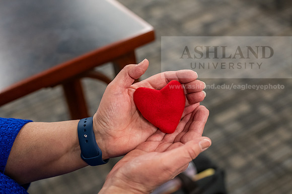 ScharCONHS_PA_HealersArt0325AWB_9721