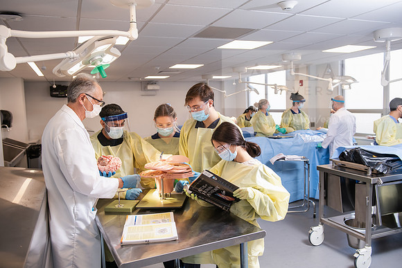 PAProgramCadaverLab1221ALW_4292