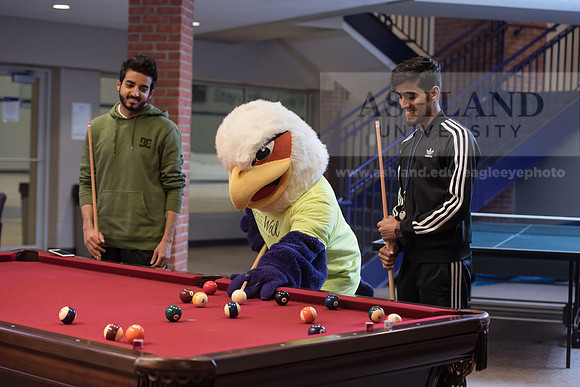 Tuffy - Campus Wellness Program